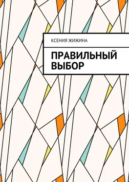 Ксения Жижина Правильный выбор обложка книги