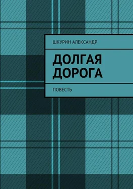 Александр Шкурин Долгая дорога. Повесть обложка книги