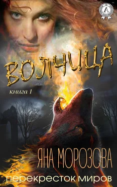 Яна Морозова Волчица обложка книги