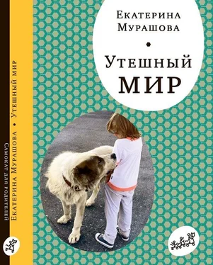 Екатерина Мурашова Утешный мир обложка книги