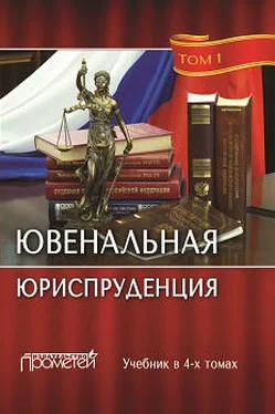 Коллектив авторов Ювенальная юриспруденция. Том 1 обложка книги