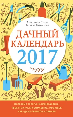Александр Голод Дачный календарь 2017 обложка книги