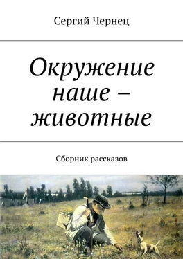 Сергий Чернец Окружение наше – животные. Сборник рассказов обложка книги