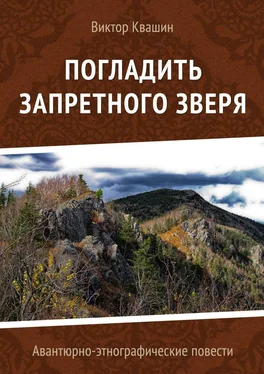 Виктор Квашин Погладить запретного зверя. Авантюрно-этнографические повести обложка книги