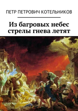 Петр Котельников Из багровых небес стрелы гнева летят обложка книги