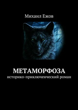 Михаил Ежов Метаморфоза. Историко-приключенческий роман обложка книги