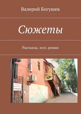 Валерий Богушев Сюжеты. Рассказы, эссе, роман обложка книги