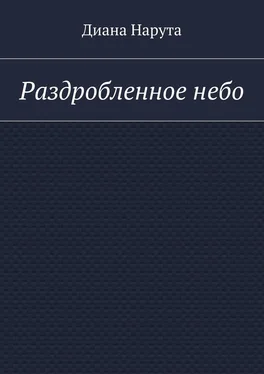 Диана Нарута Раздробленное небо обложка книги