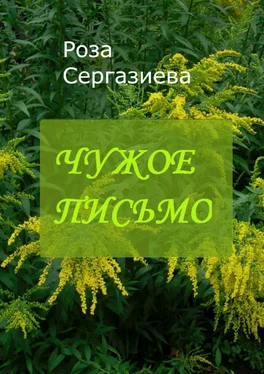 Роза Сергазиева Чужое письмо обложка книги