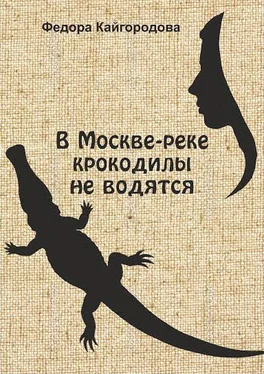 Федора Кайгородова В Москве-реке крокодилы не водятся обложка книги