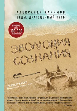 Александр Хакимов Эволюция сознания обложка книги