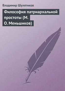 Владимир Шулятиков Философия патриархальной простоты (М. О. Меньшиков) обложка книги