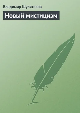 Владимир Шулятиков Новый мистицизм обложка книги