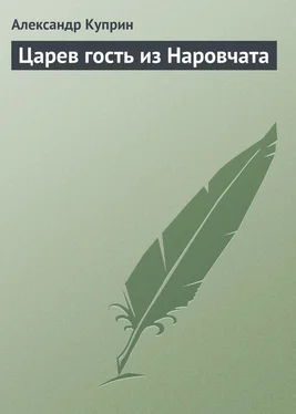 Александр Куприн Царев гость из Наровчата обложка книги