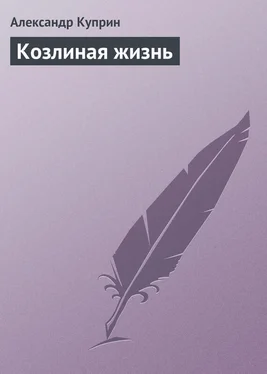 Александр Куприн Козлиная жизнь обложка книги