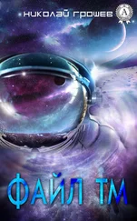Николай Грошев - Файл ТМ