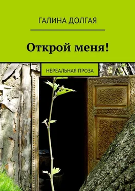 Галина Долгая Открой меня! Нереальная проза обложка книги