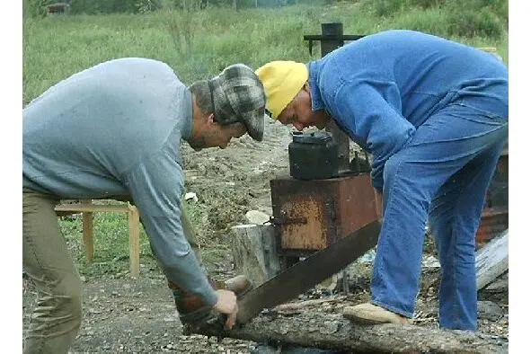 Составили смету на необходимые материалы Дизтопливо 500000руб Масло SAE - фото 4