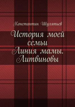 Константин Шулятьев История моей семьи. Линия мамы. Литвиновы обложка книги