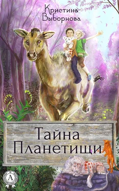 Кристина Выборнова Тайна Планетищи обложка книги