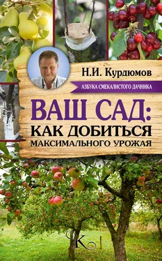 Николай Курдюмов Ваш сад: как добиться максимального урожая обложка книги