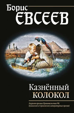 Борис Евсеев Казнённый колокол обложка книги