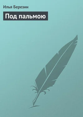 Илья Березин Под пальмою обложка книги