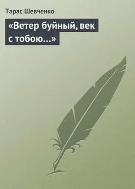 Тарас Шевченко «Ветер буйный, век с тобою…» обложка книги