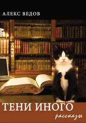 Алекс Ведов - Тени иного. Рассказы