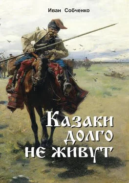Иван Собченко Казаки долго не живут обложка книги