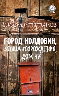 Владимир Третьяков Город Колдобин, улица Возрождения, дом 47 обложка книги