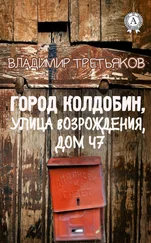 Владимир Третьяков - Город Колдобин, улица Возрождения, дом 47