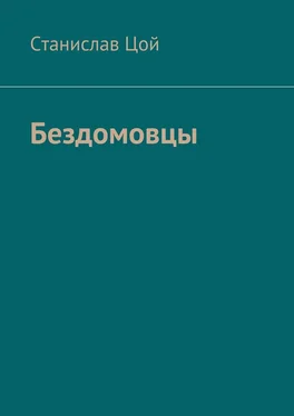 Станислав Цой Бездомовцы обложка книги