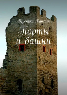 Вероника Батхан Порты и башни обложка книги