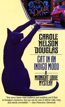 Carole douglas Cat in an Indigo Mood обложка книги