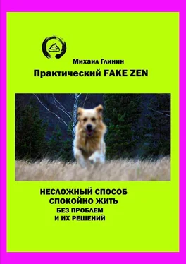 Михаил Глинин Практический Fake Zen. Несложный способ спокойно жить без проблем и их решений обложка книги