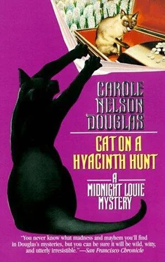 Carole douglas Cat on a Hyacinth Hunt обложка книги