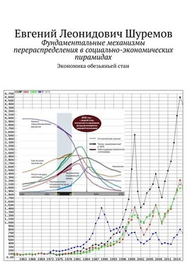 Евгений Шуремов Фундаментальные механизмы перераспределения в социально-экономических пирамидах. Экономика обезьяньей стаи обложка книги