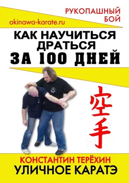 Константин Терёхин Уличное каратэ. Как научиться драться за 100 дней