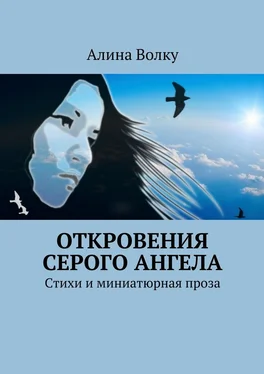 Алина Волку Откровения Серого Ангела. Стихи и миниатюрная проза обложка книги