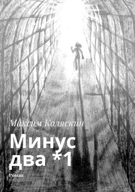 Максим Коляскин Минус два *1. Роман обложка книги