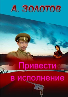 А. Золотов Привести в исполнение обложка книги