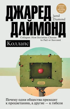 Джаред Даймонд Коллапс. Почему одни общества приходят к процветанию, а другие – к гибели обложка книги