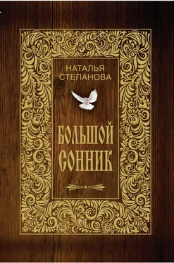 Наталья Степанова Большой сонник обложка книги