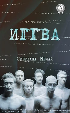 Светлана Нечай Иггва обложка книги