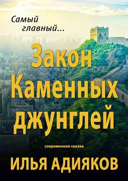 Илья Адияков Закон Каменных джунглей. Современная сказка обложка книги