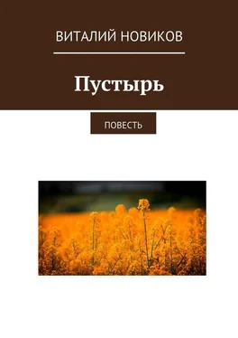 Виталий Новиков Пустырь. Повесть обложка книги