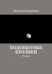 Виталий Новиков - Подопытные кролики. Роман