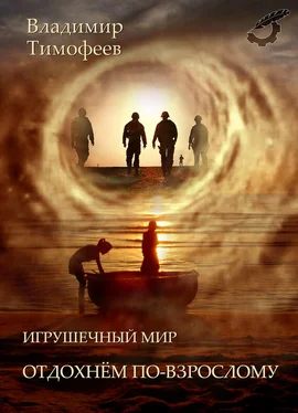 Владимир Тимофеев Игрушечный мир. Отдохнем по-взрослому обложка книги