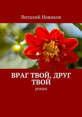 Виталий Новиков Враг твой, друг твой. Роман обложка книги